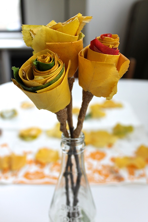 Best Of Leaf DIYs Delineate Your Dwelling