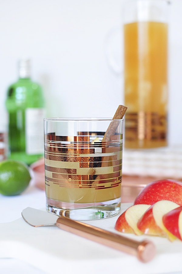 Perfect Fall Apple Cider Mule Cocktail cinnamon stick