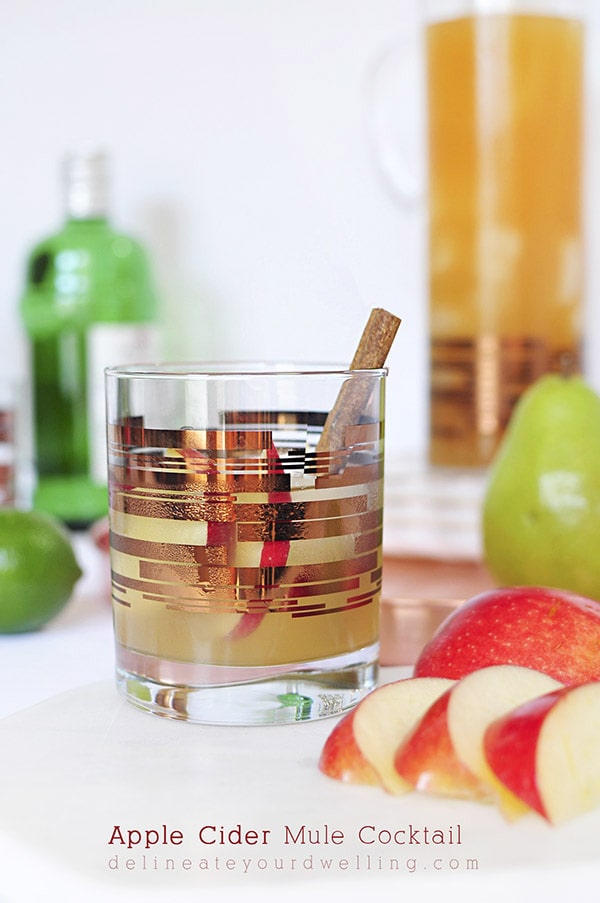 Perfect Fall Apple Cider Mule Cocktail 