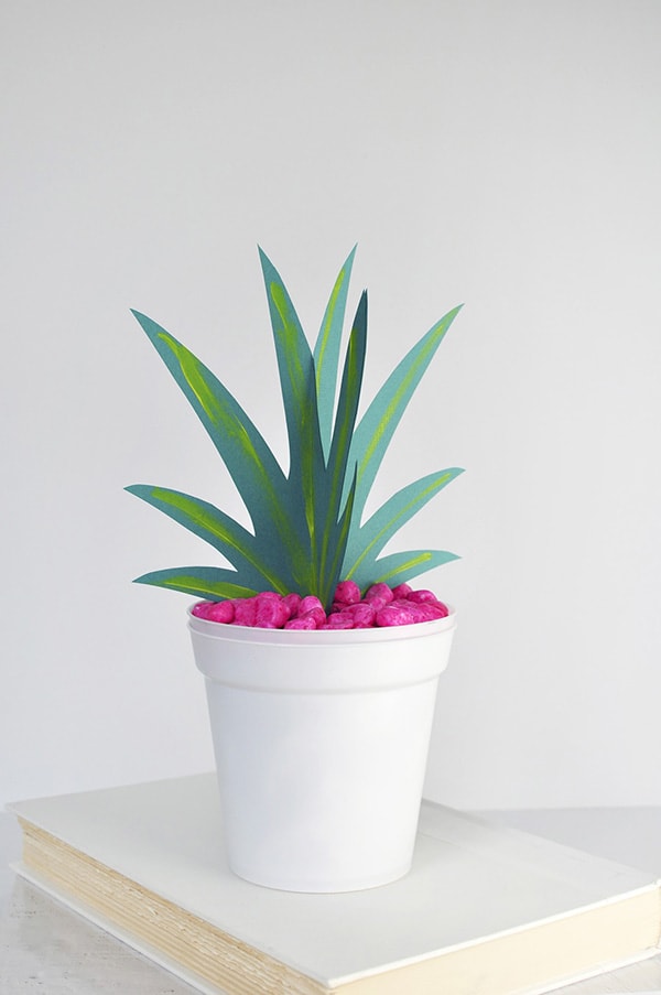 Paper Grass in white pot