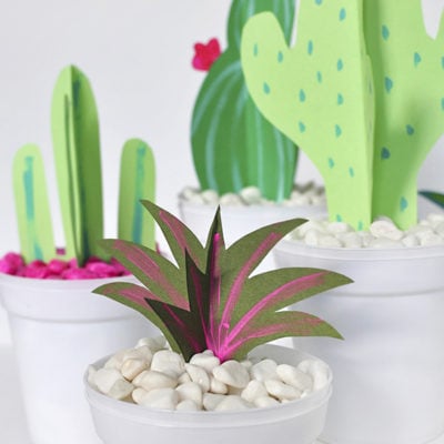 DIY Paper Cactus and Grasses