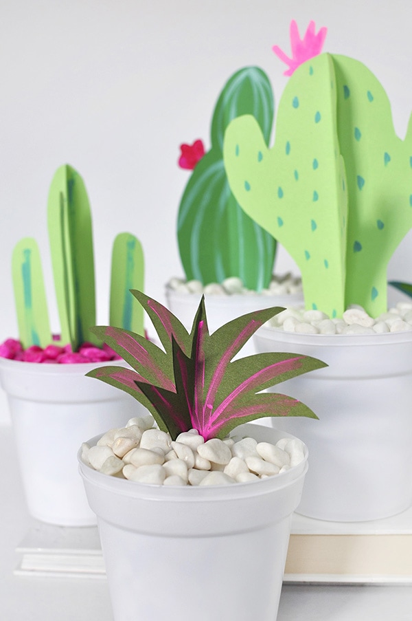 DIY Paper Cactus and Grasses, Delineate Your Dwelling