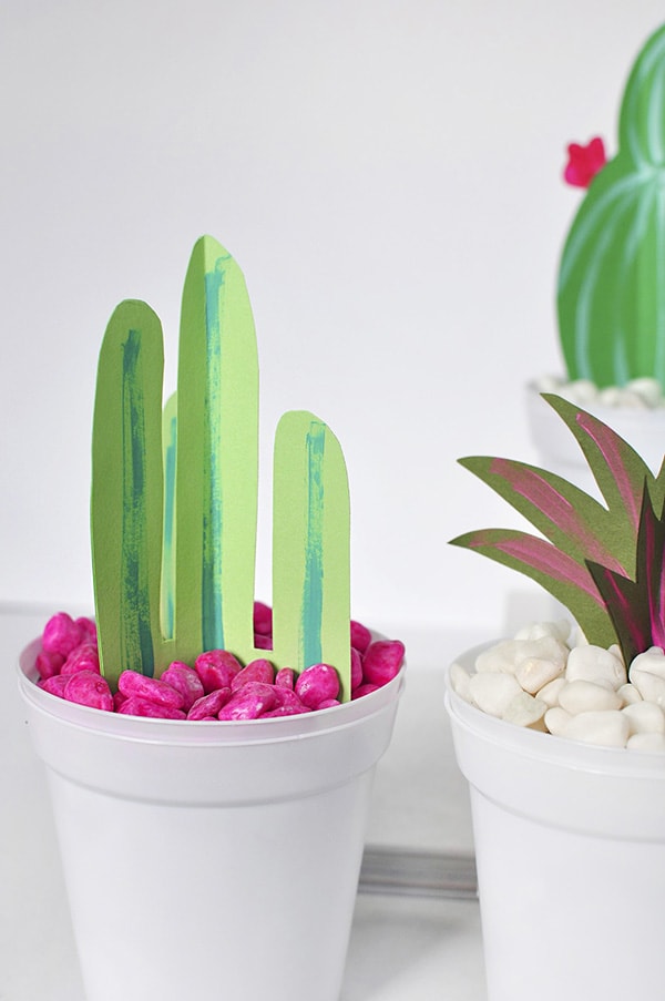 Paper Cactus