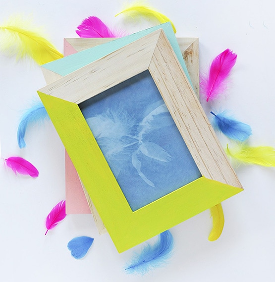 DIY Feather Artwork