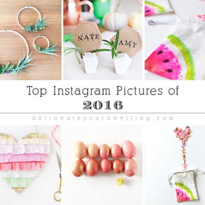 1 Top Instagram Pictures of 2016