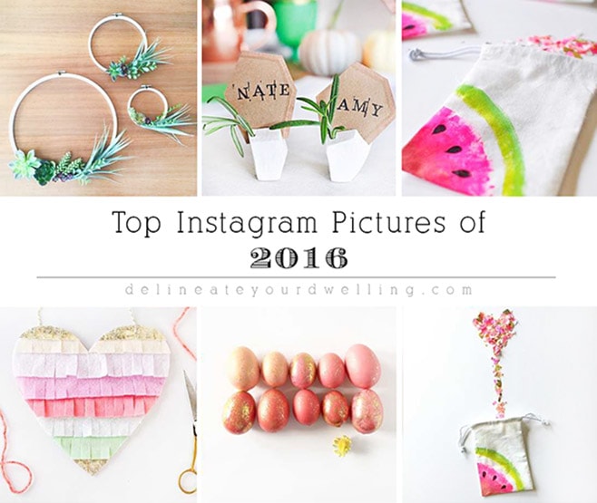 Top Instagram Pictures of 2016