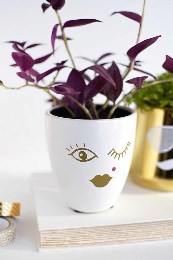 Learn how to make simple craft His + Her DIY Face Planters using a plain vase and some vinyl stickers! You won't regret making this cheerful succulent planter with faces. Delineate Your Dwelling #faceplanter #succulentpot #DIYfacevase