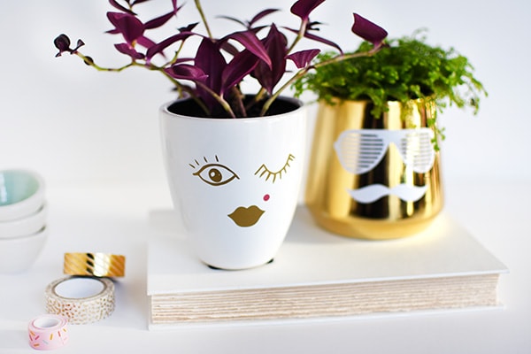 Learn how to make simple craft His + Her DIY Face Planters using a plain vase and some vinyl stickers! You won't regret making this cheerful succulent planter with faces. Delineate Your Dwelling #faceplanter #succulentpot #DIYfacevase