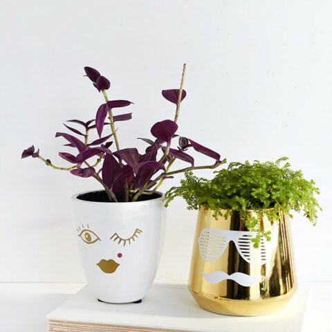 Create this simple craft - His & Hers DIY Face Planters, Delineate Your Dwelling