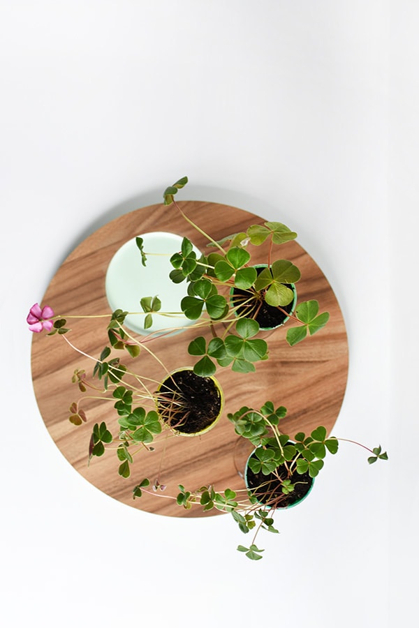 Crating Steps Four Leaf Clover