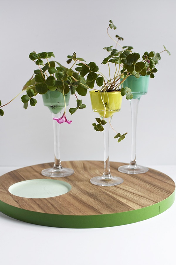 Four Leaf Clover planters