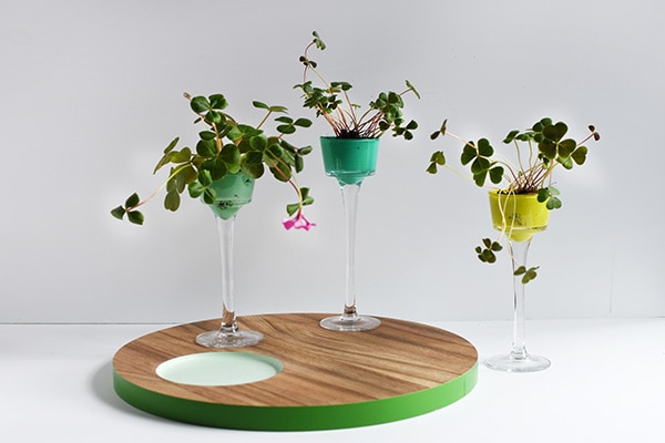 Four Leaf Clover Mini Planters : Perfect DIY Craft for St Patrick's Day, Delineate Your Dwelling