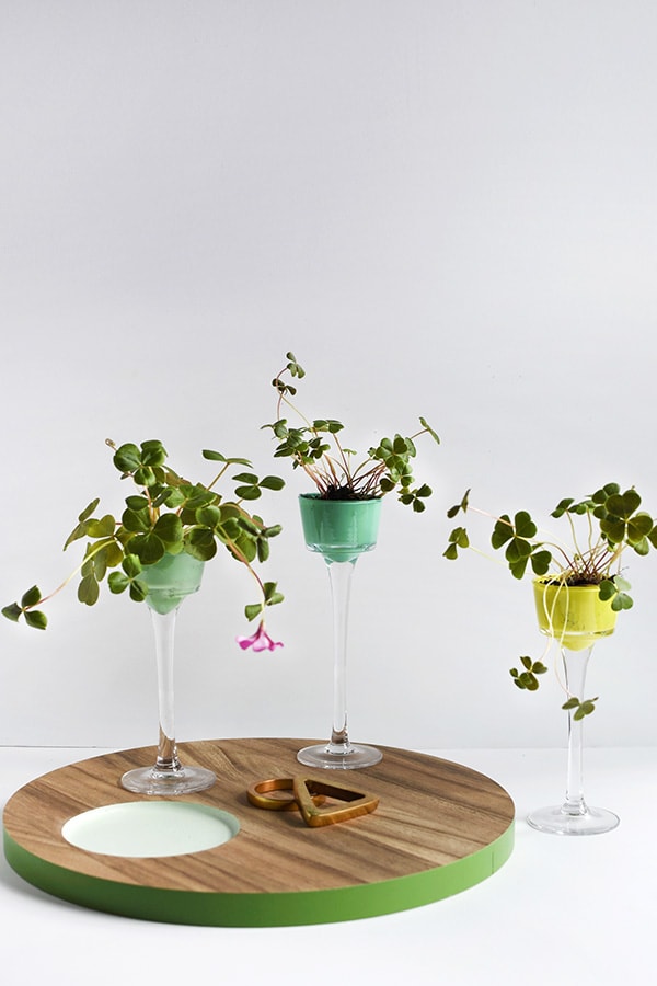 Learn how to create the perfect St. Patrick's Day Inspired Four Leaf Clover craft for adults! Make DIY mini planters for all your Shamrock dreams to come true. Delineate Your Dwelling #fourleafclover #fourleafclovercraft #shamrockcraft #stpatricksdaycraft