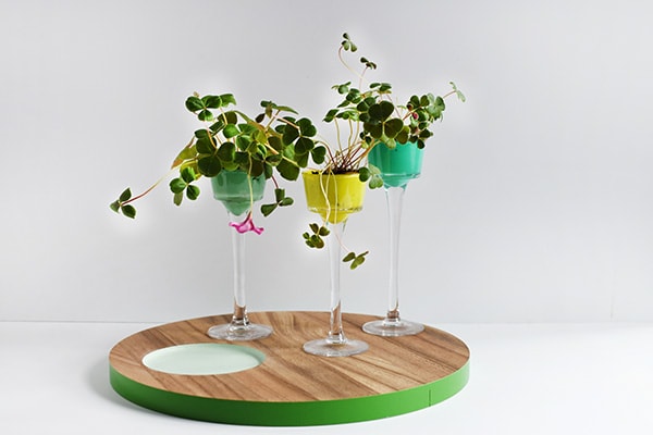 Four Leaf Clover Mini Planters : Perfect DIY Craft for St Patrick's Day, Delineate Your Dwelling