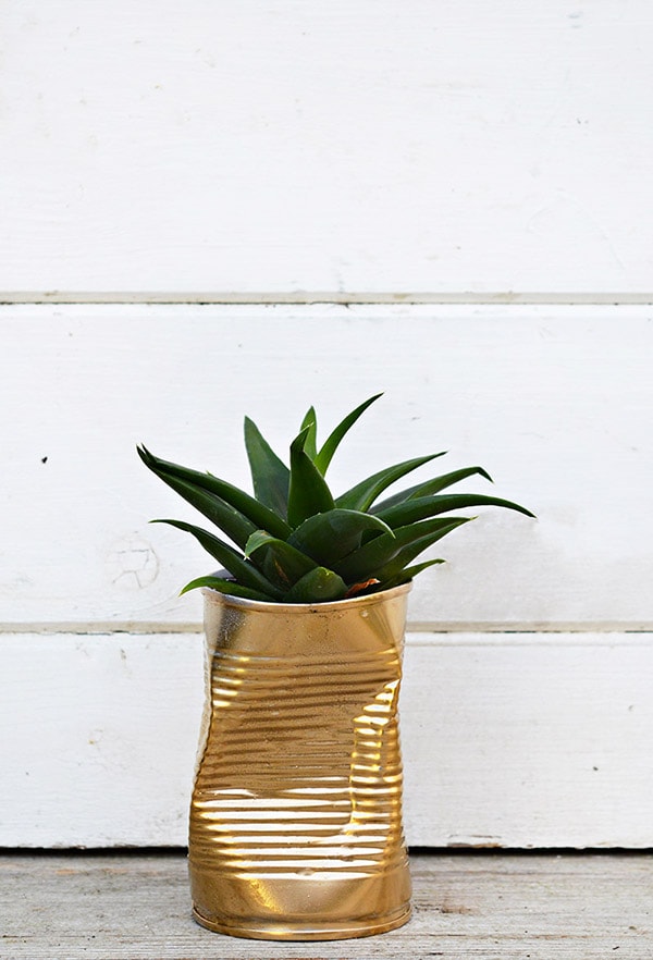 gold-can-diy-planters-feature-900x444