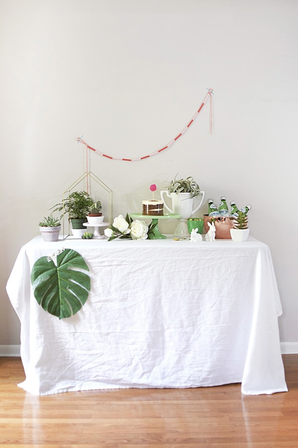 Find easy tips for creating the Perfect Spring Tablescape using Plants as your main decor item. Enjoy bringing some living green into your space. Delineate your dwelling #springplantdecor #planttablescape #plantparty
