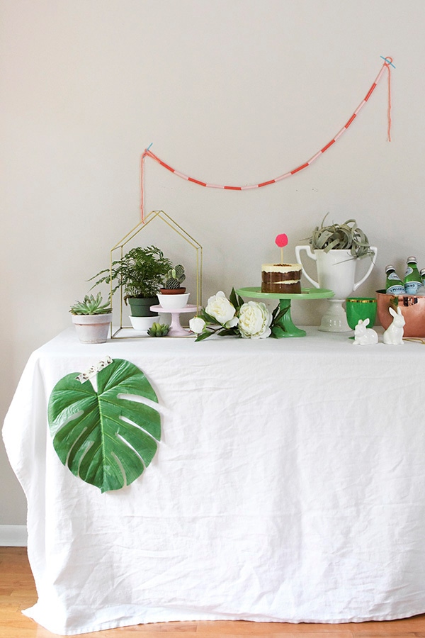 Find easy tips for creating the Perfect Spring Tablescape using Plants as your main decor item. Enjoy bringing some living green into your space. Delineate your dwelling #springplantdecor #planttablescape #plantparty