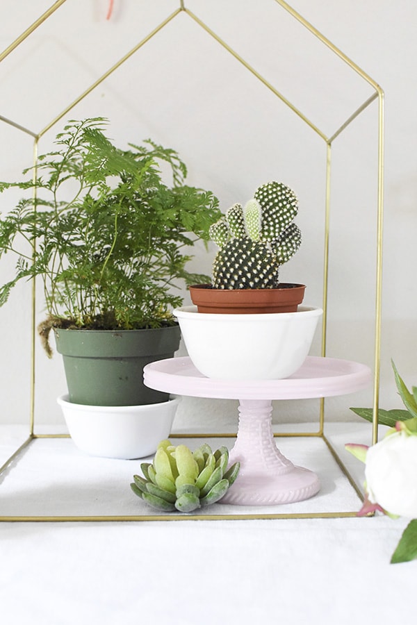 Find easy tips for creating the Perfect Spring Tablescape using Plants as your main decor item. Enjoy bringing some living green into your space. Delineate your dwelling #springplantdecor #planttablescape #plantparty