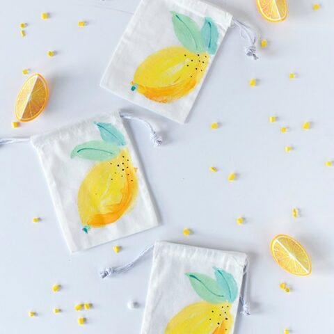 DIY Painted Lemon Bag - Delineate Your Dwelling