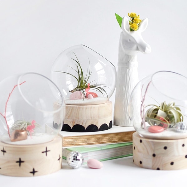 Modern DIY Terrariums