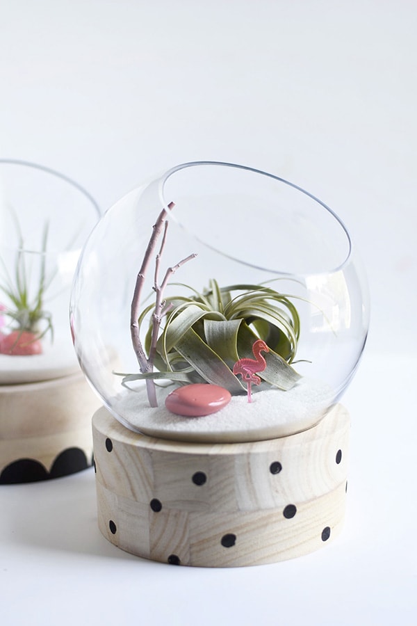 A modern take on a traditional plant terrarium! Painted Crosses, Scallops and Polka Dots add the perfect pattern to the wood base.  Learn how to create this trendy DIY using air plants, disco balls and mini flamingos. Delineate Your Dwelling #modernterrarium #airplantterrarium