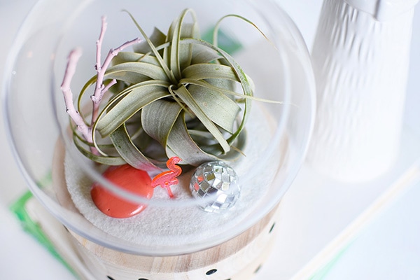 A modern take on a traditional plant terrarium! Painted Crosses, Scallops and Polka Dots add the perfect pattern to the wood base.  Learn how to create this trendy DIY using air plants, disco balls and mini flamingos. Delineate Your Dwelling #modernterrarium #airplantterrarium