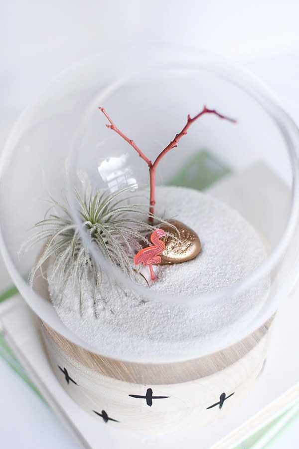 A modern take on a traditional plant terrarium! Painted Crosses, Scallops and Polka Dots add the perfect pattern to the wood base.  Learn how to create this trendy DIY using air plants, disco balls and mini flamingos. Delineate Your Dwelling #modernterrarium #airplantterrarium