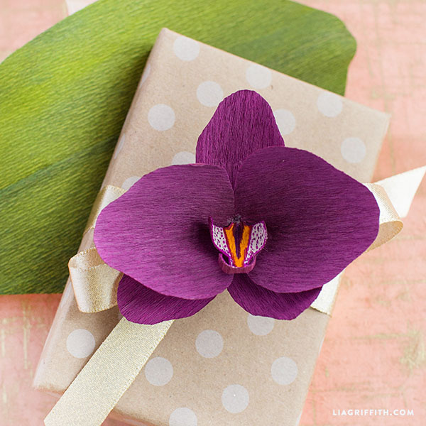 Purple_Crepe_Paper_Orchid