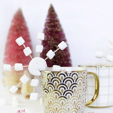 Snowflake-Hot-Cocoa