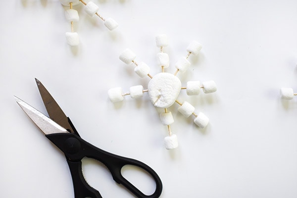 Marshmallow Snowflake Hot Cocoa 