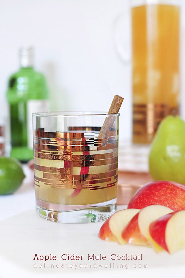 Fall-Apple-Cider-Mule-Cocktail