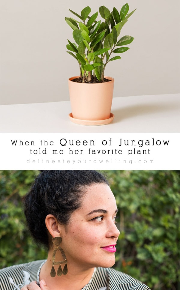 Queen of Jungalow Favorite Plant