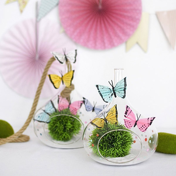 How to make a Colorful Butterfly Terrarium