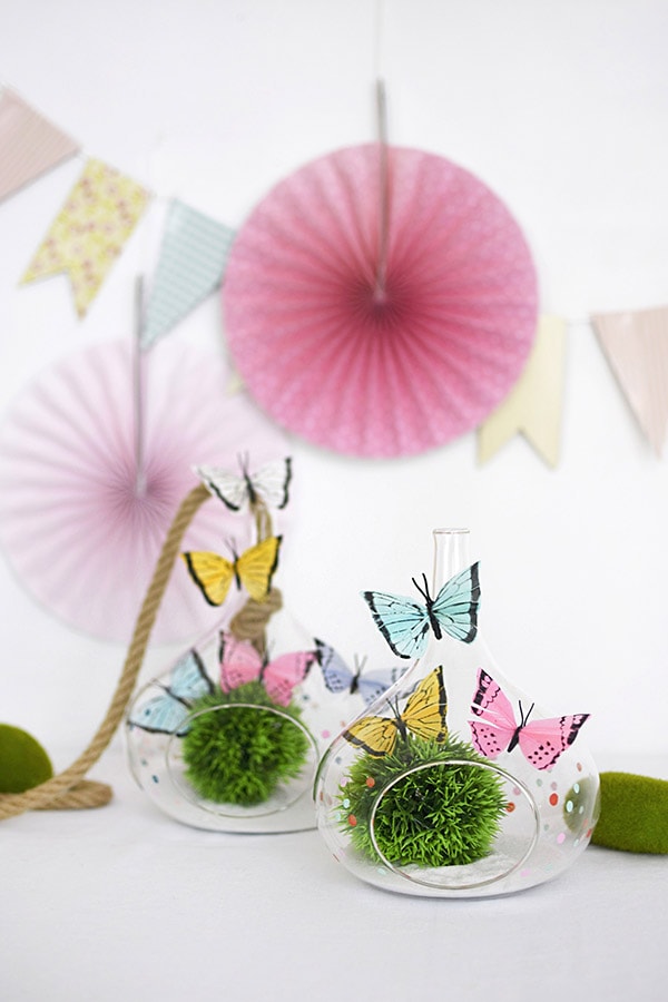 Learn how to make a DIY butterfly terrarium this Spring season!  Using colorful faux butterflies, gorgeous glass terrariums and some fun moss balls the sky is the limit to the fun you can have. Delineate Your Dwelling #DIYterrarium #butterflyterrarium
