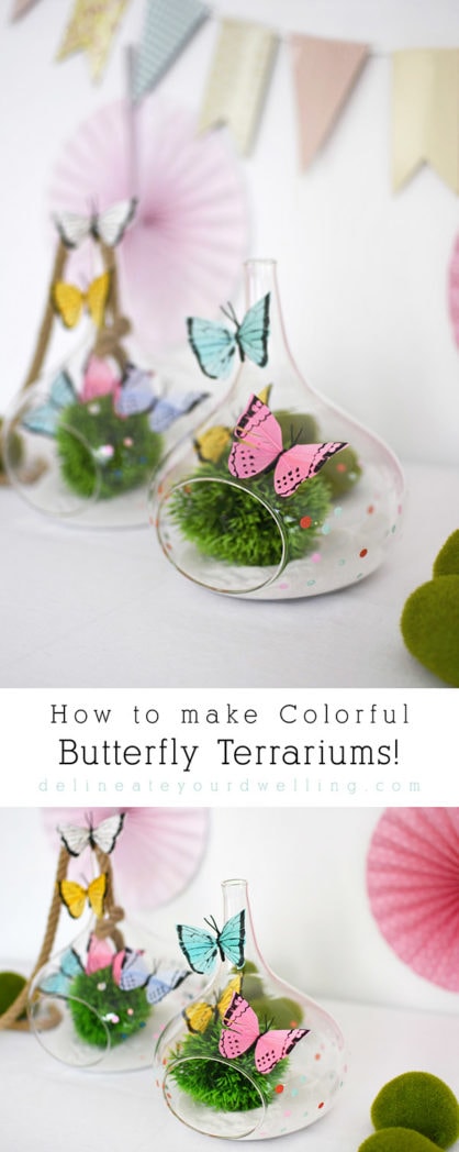 Learn how to make a DIY butterfly terrarium this Spring season!  Using colorful faux butterflies, gorgeous glass terrariums and some fun moss balls the sky is the limit to the fun you can have. Delineate Your Dwelling #DIYterrarium #butterflyterrarium