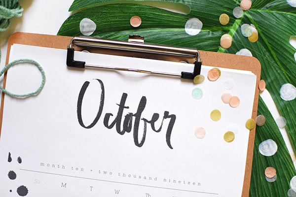 Get organized this next year with a gorgeous modern Calligraphy Hand Lettered 2019 Printable Calendar!  With a simple free download and you will be set to get yourself on task and scheduled out for the year. Delineate Your Dwelling #2019downloadcalendar #2019calendar