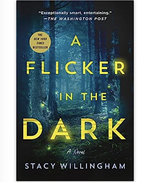 A Flicker in the Dark, Fiction Book