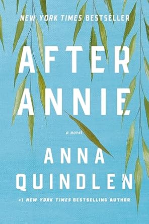 After Annie - fiction book