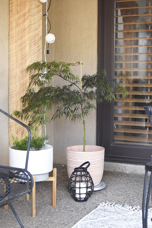 Easy Back Patio refresh, Decorate with Plants - Easy Back Patio refresh, Check out 5 simple tips for updating your outdoor space.  Learn how to get your concrete patio summer ready in no time at all! Delineate Your Dwelling #patioideas #patiodecoratingideas