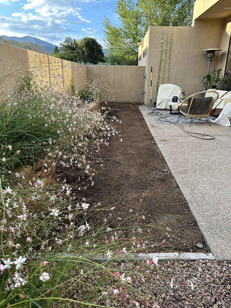 Soil backyard