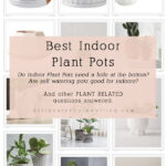 Best Indoor Plant Pots. Do Indoor Plant Pots need a hole at the bottom? Are self watering pots good for plants? And many other plant related questions answered! Delineate Your Dwelling #planthelp #plantquestions #indoorplanthelp