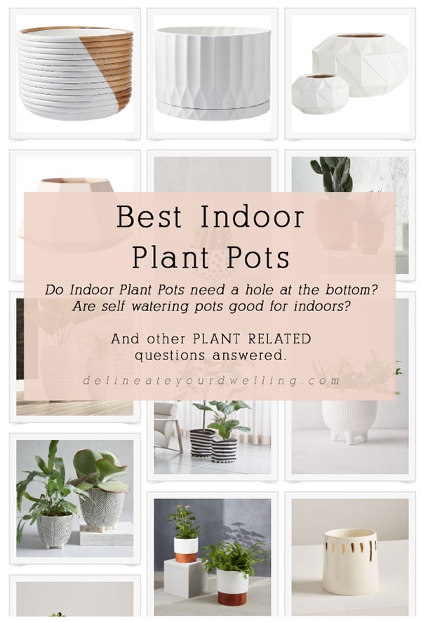 Best Indoor Plant Pots