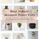 Best-Indoor-Planters