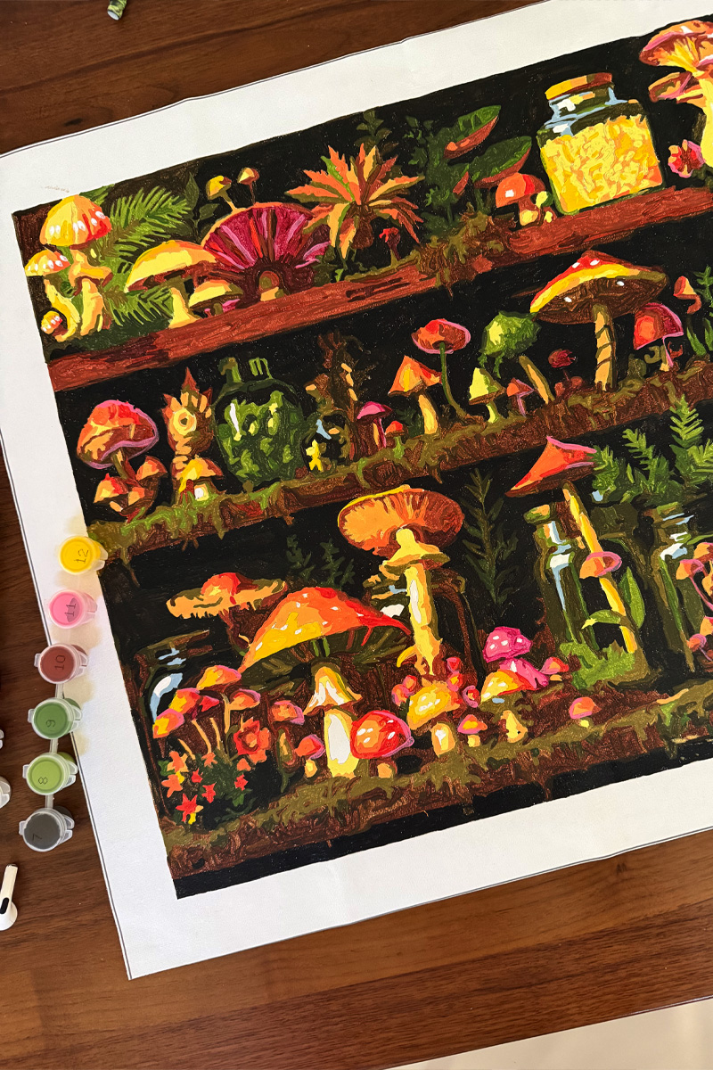 Colorful Mushrooms on shelves, paint by number
