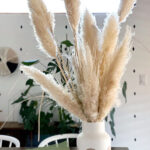 Best Online Pampas Grass resource