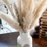 Best Online Pampas Grass