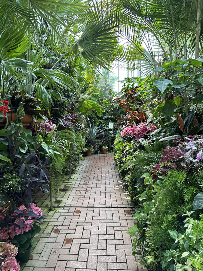 Biltmore Estate lush greenery