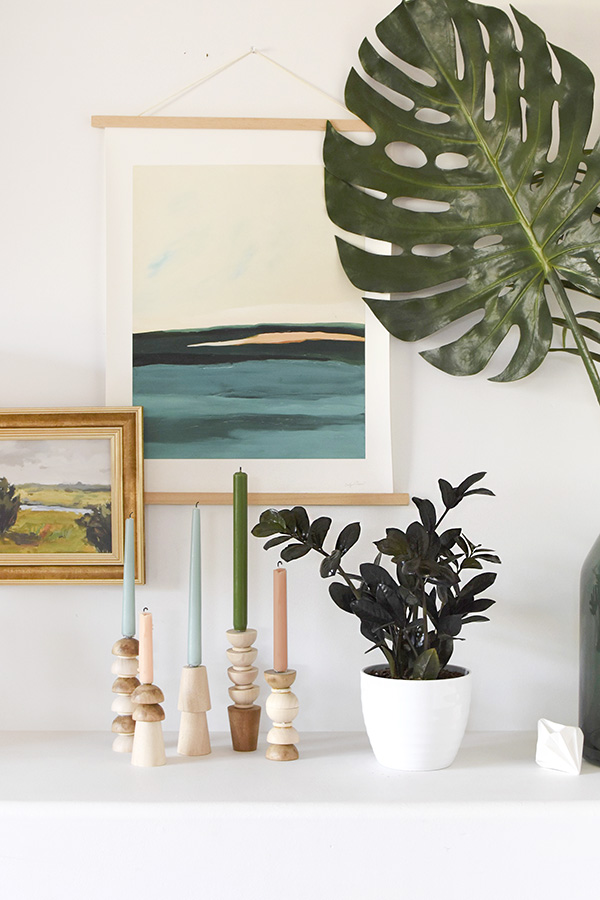 Black Raven ZZ Plant Care