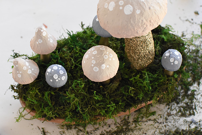 Mushrooms and Moss