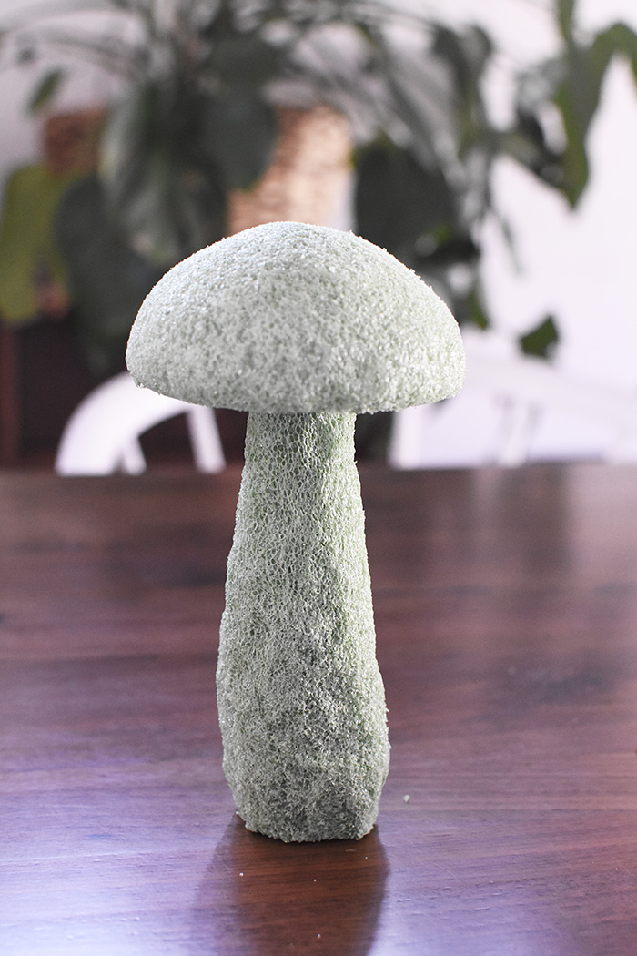 Styrofoam Mushroom